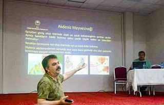 Mihalıççık’ta kiraz üreticisine eğitim