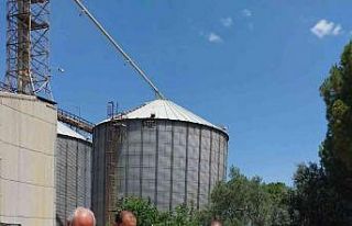 Milas TMO Hububat alımlarına başladı