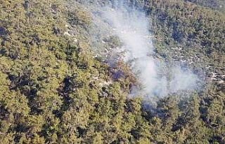 Milas’ta orman yangını