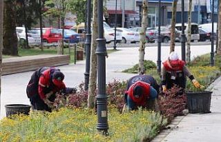 Millet Bahçesi rengarenk