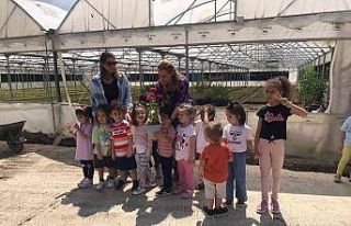 Minik öğrenciler sera alanını gezerek, çiçekleri...