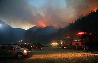 Muğla Büyükşehir: “4 bin 208 hektar alan zarar...