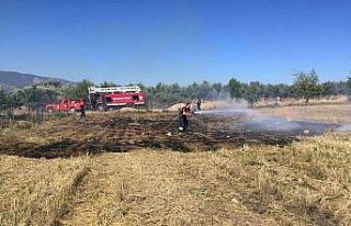 Muğla’da 6 ayda 385 anız yangını