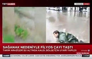Muhabir canlı yayında rögara düştü