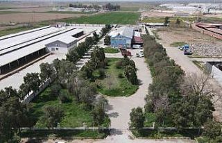 Nazilli’de kurban kesim fiyatları açıklandı