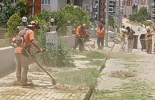 Nazilli’de temizlik seferberliği sürüyor