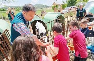 Öğrenciler süt üretimini yerinde incelediler