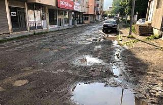 Oltuluların yol tepkisi