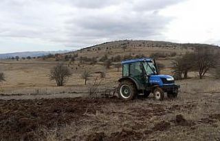 Ordu’da 18 bin dönüm arazi tarıma kazandırıldı