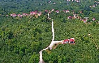 Ordu’da 42 mahallede beton yol çalışması tamamlandı