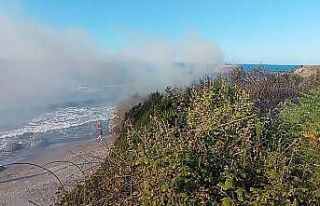 Ordu’da örtü yangını