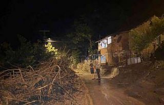 Ordu’da sağanak: Bazı evleri su bastı