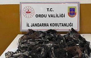 Ordu’da telefon kablosu hırsızları tutuklandı