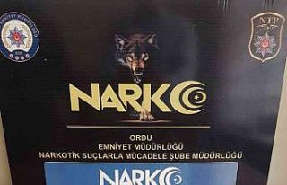 Ordu’da uyuşturucu operasyonları: 2 tutuklama