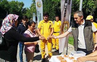 Orman şehitleri için lokma hayrı