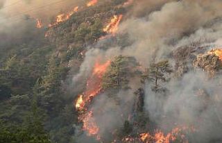 Orman yangınlarına karşı mücadele seferberliği