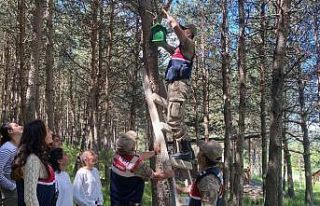 Ormanlara kuş yuvası asıldı