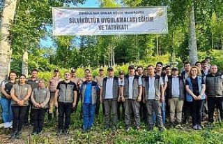 Ormanlarda "Gençlik bakım" tatbikatları...