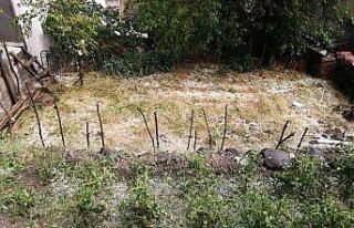 Osmancık’ta etkili olan dolu yağışı tarım...