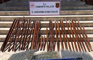 Osmaniye’de bağ, bahçe ve tarladan hırsızlık...