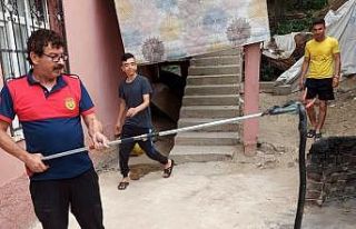 Osmaniye’de eve giren yılanı itfaiye yakaladı