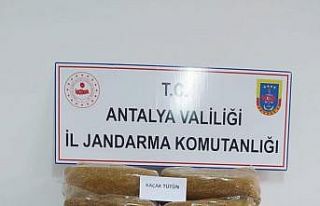 Otobüs bagajında 50 kilo kaçak tütün ele geçirildi