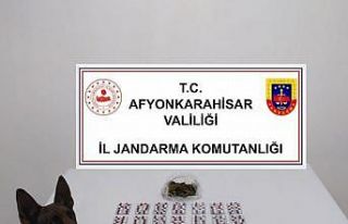 Otobüsle kente uyuşturucu getiren şahıs tutuklandı
