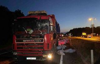 Otomobil kamyonla çarpıştı