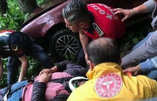 Otomobil ormanlık alana uçtu: 1 yaralı