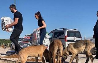 (ÖZEL) Sokak hayvanlarına işitme engelliler umut...