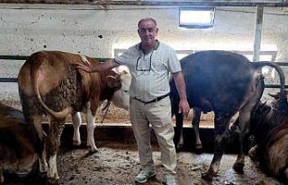 Özel yemlerle besliyor, 1 yıl önceden sıraya girenler...