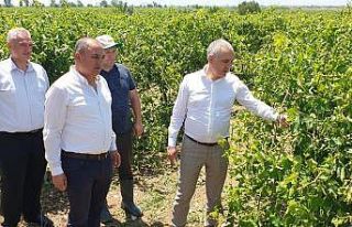 Öztürk, Salihli’de doludan etkilenen tarım arazilerini...