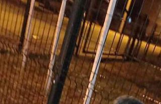 Parkın koruma tellerine sıkışan köpeği itfaiye...