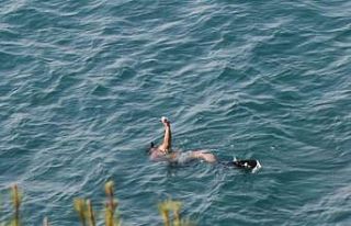 Patlayıcı ile balık avlayan şahsa 14 bin 680 lira...