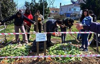 Pazardan toplanan organik atıklar, toprağı yeşertecek