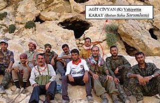 PKK terör örgütüne yönelik operasyon, 1 kişi...