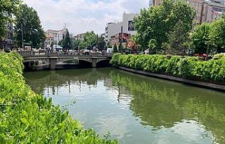 Porsuk Çayı kenarları yeşil örtüyle kaplandı