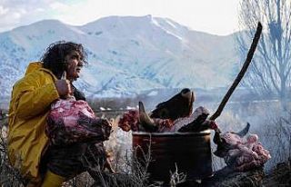 Profesörden, kesik ’öküz başlı’ sanat