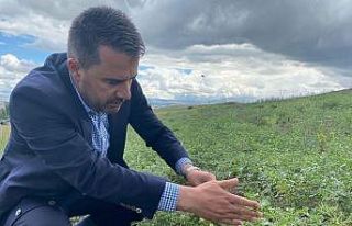 Pursaklar Belediyesinden üretim seferberliği