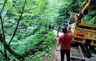 Rize’de cip uçuruma yuvarlandı: 1 yaralı
