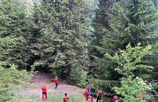 Rize’de dereye düşen Arap turisti arama çalışmaları...