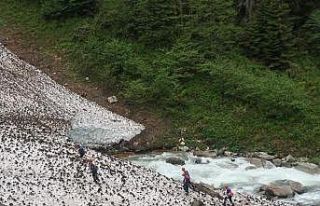Rize’de dereye düşen Ummanlı turisti arama çalışmaları...