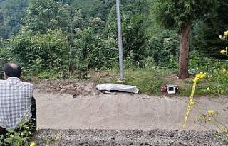 Rize’de elektrik direğinden düşen şahıs hayatını...