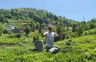 Rizeli çay üreticisinden Selçuk Bayraktar’a ilginç...