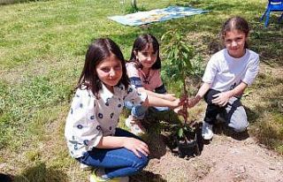 Sabancı İlkokulu’nda renkli etkinlik