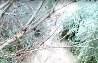 Sağanak yağış Yeşilhisar’da su taşkınına...