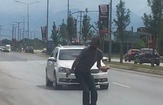 Sakarya’da kaplumbağa için trafik durdu