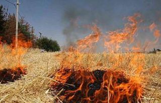 Şanlıurfa’da çiftçilere anız uyarısı