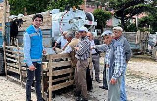Şaphane kurbanlık hayvan pazarında denetim