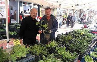 Sebze ve meyve yetiştirmek isteyenler fide satıcılarının...